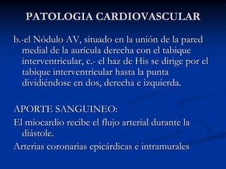 PATOLOGIA CARDIOVASCULAR
b.-el Nódulo AV, situado en la unión de la pared
medial de la aurícula derecha con el tabique
interventricular, c.- el haz de His se dirige por el
tabique interventricular hasta la punta
dividiéndose en dos, derecha e izquierda.
APORTE SANGUINEO:
El miocardio recibe el flujo arterial durante la
diástole.
Arterias coronarias epicárdicas e intramurales
 