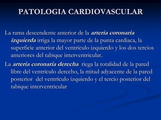 PATOLOGIA CARDIOVASCULAR
La rama descendente anterior de la arteria coronaria
izquierda irriga la mayor parte de la punta cardiaca, la
superficie anterior del ventrículo izquierdo y los dos tercios
anteriores del tabique interventricular.
La arteria coronaria derecha riega la totalidad de la pared
libre del ventrículo derecho, la mitad adyacente de la pared
posterior del ventrículo izquierdo y el tercio posterior del
tabique interventricular
 