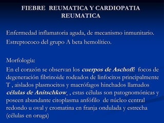 FIEBRE REUMATICA Y CARDIOPATIA
REUMATICA
Enfermedad inflamatoria aguda, de mecanismo inmunitario.
Estreptococo del grupo A beta hemolítico.
Morfología:
En el corazón se observan los cuerpos de Aschoff: focos de
degeneración fibrinoide rodeados de linfocitos principalmente
T , aislados plasmocitos y macrófagos hinchados llamados
células de Anitschkow , estas células son patognomónicas y
poseen abundante citoplasma anfófilo de núcleo central
redondo u oval y cromatina en franja ondulada y estrecha
(células en oruga)
 
