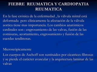FIEBRE REUMATICA Y CARDIOPATIA
REUMATICA
En la fase crónica de la enfermedad , la válvula mitral está
deformada pero clínicamente la afectación de la válvula
aortica tiene mas importancia. Los cambios anatómicos
cardinales son : engrosamiento de las valvas, fusión de las
comisuras, acortamiento, engrosamiento y fusión de las
cuerdas tendinosas.
Microscópicamente
Los cuerpos de Aschoff son sustituidos por cicatrices fibrosas
y se pierde el carácter avascular y la arquitectura laminar de las
valvas
 
