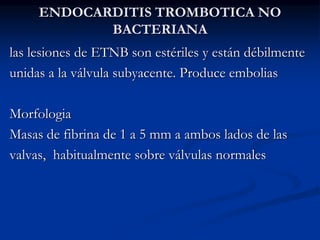 ENDOCARDITIS TROMBOTICA NO
BACTERIANA
las lesiones de ETNB son estériles y están débilmente
unidas a la válvula subyacente. Produce embolias
Morfologia
Masas de fibrina de 1 a 5 mm a ambos lados de las
valvas, habitualmente sobre válvulas normales
 
