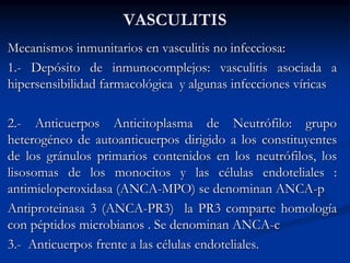 VASCULITIS
Mecanismos inmunitarios en vasculitis no infecciosa:
1.- Depósito de inmunocomplejos: vasculitis asociada a
hipersensibilidad farmacológica y algunas infecciones víricas
2.- Anticuerpos Anticitoplasma de Neutrófilo: grupo
heterogéneo de autoanticuerpos dirigido a los constituyentes
de los gránulos primarios contenidos en los neutrófilos, los
lisosomas de los monocitos y las células endoteliales :
antimieloperoxidasa (ANCA-MPO) se denominan ANCA-p
Antiproteinasa 3 (ANCA-PR3) la PR3 comparte homología
con péptidos microbianos . Se denominan ANCA-c
3.- Anticuerpos frente a las células endoteliales.
 