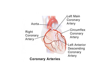 Patologia cardiovascular