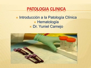 PATOLOGIA CLINICA
 Introducción a la Patología Clínica
 Hematología
 Dr. Yuniel Camejo
 