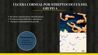 • No tienen características identificadoras.
• El estroma esta infiltrado y edematoso
• Hipopión moderadamente grande.
ULCERA CORNEAL POR STREPTOCOCCUS DEL
GRUPO A
Tratamiento :
• Cefazolina
• Moxifloxacina
• Gatifloxacina
 