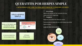 QUERATITIS POR HERPES SIMPLE
VIRUS HERPES
SIMPLE
1) Inmunocompetentes
2) Inmunodeprimidos
1) Primaria
2) Recurrente
Similar al VHS labial, pero
la evolución clínica
Corneal se prolonga
◈ Inmunologia
Mayoria de adultos se han expuesto al virus.
Latencia en el G. trigeminal.
◈ Patogenia
Reaccion inmunitaria vs Infeccion activa
Factores para el desarrollo de enfermedad recurrente
desconocidos.
CLASE DE VIRUS INVOLUCRADO
CAUSA MAS COMUN DE ULCERACION CORNEAL Y CEGUERA EN EEUU
CULTIVO
CELULAR
PCR
LESIONES
DENDRITICAS
 