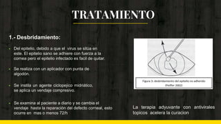 La terapia adyuvante con antivirales
topicos acelera la curacion
1.- Desbridamiento:
 Del epitelio, debido a que el virus se sitúa en
este. El epitelio sano se adhiere con fuerza a la
cornea pero el epitelio infectado es facil de quitar.
 Se realiza con un aplicador con punta de
algodón.
 Se instila un agente ciclopejico midriático,
se aplica un vendaje compresivo.
 Se examina al paciente a diario y se cambia el
vendaje hasta la reparación del defecto corneal, esto
ocurre en mas o menos 72/h
TRATAMIENTO
 