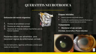 Disfuncion del nervio trigemino:
1. Perdida de sensibilidad corneal
2. Perdida del reflejo del parpadeo
3. Ausencia de factores troficos importantes para la
funcion epitelial
Pacientes deben ser advertidos, para
reconocer signos de enfermedad corneal.
Uso de lubricantes, lagrimas artificiales y lentes para
nadar en las noches
Etapas iniciales
• Edema epitelial manchado difuso
• Perdida del epitelio (ulcera neurotrofica) que se
extiende en un gran área de la cornea.
Tratamiento
• Mantener el ojo cerrado
(Vendaje, tarsorrafia o Ptosis inducida)
QUERATITIS NEUROTROFICA
 