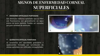 ◈ EROSIONES EPITELIALES PUNTEADAS
Son diminutos defectos epiteliales que se tiñen
con fluoresceína, son generalmente un signo
precoz de lesión epitelial. Pueden ser causadas
por gran variedad de estímulos
◈ QUERATITIS EPITELIAL PUNTEADA
se caracteriza por opacidades granulares y
opalescentes formadas por tumefacción de
células epiteliales con infiltrados intraepiteliales
SIGNOS DE ENFERMEDAD CORNEAL
SUPERFICIALES
 