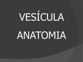 Patologia de  higado y vesicula  ii