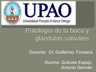 Docente: Dr. Guillermo Fonseca 
Alumno: Quilcate Espejo, 
Antonio Germán 
 