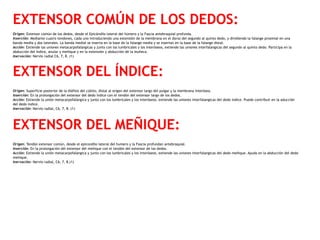 EXTENSOR COMÚN DE LOS DEDOS:
Origen: Extensor común de los dedos, desde el Epicóndilo lateral del húmero y la Fascia antebraquial profunda.
Inserción: Mediante cuatro tendones, cada uno introduciendo una extensión de la membrana en el dorso del segundo al quinto dedo, y dividiendo la falange proximal en una
banda media y dos laterales. La banda medial se inserta en la base de la falange media y se insertan en la base de la falange distal.
Acción: Extiende las uniones metacarpofalángicas y junto con los lumbricales y los interóseos, extiende las uniones interfalangicas del segundo al quinto dedo. Participa en la
abducción del índice, anular y meñique y en la extensión y abducción de la muñeca. 
Inervación: Nervio radial C6, 7, 8. (1)
EXTENSOR DEL ÍNDICE:
Origen: Superficie posterior de la diáfisis del cúbito, distal al origen del extensor largo del pulgar y la membrana interósea.
Inserción: En la prolongación del extensor del dedo índice con el tendón del extensor largo de los dedos.
Acción: Extiende la unión metacarpofalángica y junto con los lumbricales y los interóseos, extiende las uniones interfalangicas del dedo índice. Puede contribuir en la aducción
del dedo índice. 
Inervación: Nervio radial, C6, 7, 8. (1)
EXTENSOR DEL MEÑIQUE:
Origen: Tendón extensor común, desde el epicondilo lateral del humero y la Fascia profundan antebraquial.
Inserción: En la prolongación del extensor del meñique con el tendón del extensor de los dedos.
Acción: Extiende la unión metacarpofalángica y junto con los lumbricales y los interóseos, extiende las uniones interfalangicas del dedo meñique. Ayuda en la abducción del dedo
meñique.
Inervación: Nervio radial, C6, 7, 8.(1)
 