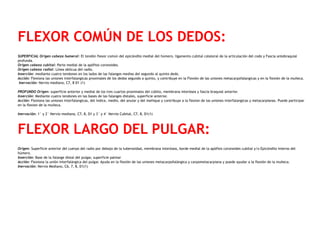 FLEXOR COMÚN DE LOS DEDOS:
SUPERFICIAL Origen cabeza humeral: El tendón flexor común del epicóndilo medial del húmero, ligamento cubital colateral de la articulación del codo y Fascia antebraquial
profunda.
Origen cabeza cubital: Parte medial de la apófisis coronoides.
Origen cabeza radial: Línea oblicua del radio.
Inserción: mediante cuatro tendones en los lados de las falanges medias del segundo al quinto dedo.
Acción: Flexiona las uniones interfalangicas proximales de los dedos segundo a quinto, y contribuye en la Flexión de las uniones metacarpofalangicas y en la flexión de la muñeca.
 Inervación: Nervio mediano, C7, 8 D1 (1)
PROFUNDO Origen: superficie anterior y medial de los tres cuartos proximales del cúbito, membrana interósea y fascia braquial anterior.
Inserción: Mediante cuatro tendones en las bases de las falanges distales, superficie anterior.
Acción: Flexiona las uniones interfalangicas, del índice, medio, del anular y del meñique y contribuye a la flexion de las uniones interfalangicas y metacarpianas. Puede participar
en la flexion de la muñeca.
 
Inervación: 1° y 2° Nervio mediano, C7, 8, D1 y 3° y 4° Nervio Cubital, C7, 8, D1(1)
FLEXOR LARGO DEL PULGAR:
Origen: Superficie anterior del cuerpo del radio por debajo de la tuberosidad, membrana interósea, borde medial de la apófisis coronoides cubital y/o Epicóndilo interno del
húmero.
Inserción: Base de la falange distal del pulgar, superficie palmar
Acción: Flexiona la unión interfalángica del pulgar. Ayuda en la flexión de las uniones metacarpofalángica y carpometacarpiana y puede ayudar a la flexión de la muñeca.
Inervación: Nervio Mediano, C6, 7, 8, D1(1)
 
 