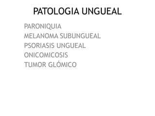 PATOLOGIA UNGUEAL
PARONIQUIA
MELANOMA SUBUNGUEAL
PSORIASIS UNGUEAL
ONICOMICOSIS
TUMOR GLÓMICO
 
