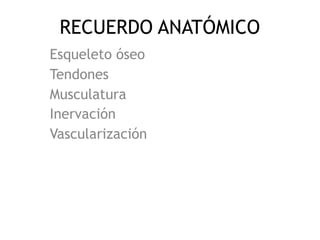 RECUERDO ANATÓMICO
Esqueleto óseo
Tendones
Musculatura
Inervación
Vascularización
 