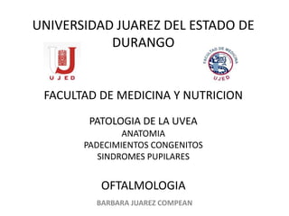 UNIVERSIDAD JUAREZ DEL ESTADO DE
DURANGO
FACULTAD DE MEDICINA Y NUTRICION
PATOLOGIA DE LA UVEA
ANATOMIA
PADECIMIENTOS CONGENITOS
SINDROMES PUPILARES
OFTALMOLOGIA
BARBARA JUAREZ COMPEAN
 