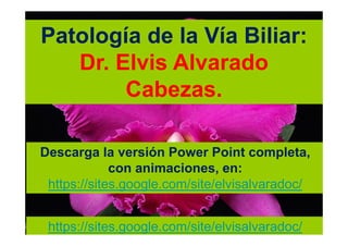 Patología de la Vía Biliar:
   Dr. Elvis Alvarado
        Cabezas.

Descarga la versión Power Point completa,
             con animaciones, en:
 https://sites.google.com/site/elvisalvaradoc/


 https://sites.google.com/site/elvisalvaradoc/
 