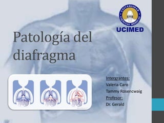Patología del
diafragma
                Intergrantes:
                Valeria Caro
                Tammy Rosencwaig
                Profesor:
                Dr. Gerald
 