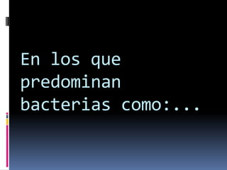 En los que
predominan
bacterias como:...
 