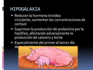 HIPOGALAXIA
 Reducen la hormona tiroidea
  circulante, aumentan las concentraciones de
  cortisol
 Suprimen la producción de prolactina por la
  hipófisis, afectando adversamente la
  producción de calostro y leche
 Especialmente del primer al tercer día
  después del parto
 