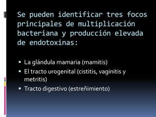 Se pueden identificar tres focos
principales de multiplicación
bacteriana y producción elevada
de endotoxinas:

 La glándula mamaria (mamitis)
 El tracto urogenital (cistitis, vaginitis y
  metritis)
 Tracto digestivo (estreñimiento)
 