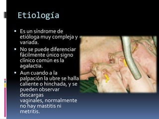 Etiología
 Es un síndrome de
  etióloga muy compleja y
  variada.
 No se puede diferenciar
  fácilmente único signo
  clínico común es la
  agalactia.
 Aun cuando a la
  palpación la ubre se halla
  caliente o hinchada, y se
  pueden observar
  descargas
  vaginales, normalmente
  no hay mastitis ni
  metritis.
 