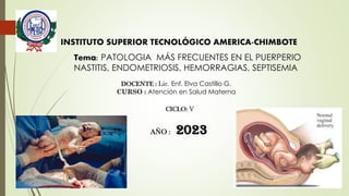 INSTITUTO SUPERIOR TECNOLÓGICO AMERICA-CHIMBOTE
Tema: PATOLOGIA MÁS FRECUENTES EN EL PUERPERIO
NASTITIS, ENDOMETRIOSIS, HEMORRAGIAS, SEPTISEMIA
DOCENTE : Lic. Enf. Elva Castillo G.
CURSO : Atención en Salud Materna
CICLO: V
AÑO : 2023
 