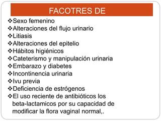 Infección urinaria
Infección en cualquier parte del sistema urinario, los
riñones, la vejiga o la uretra
Las mujeres son m...