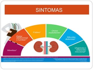 Patologia del sistema renal y urinario