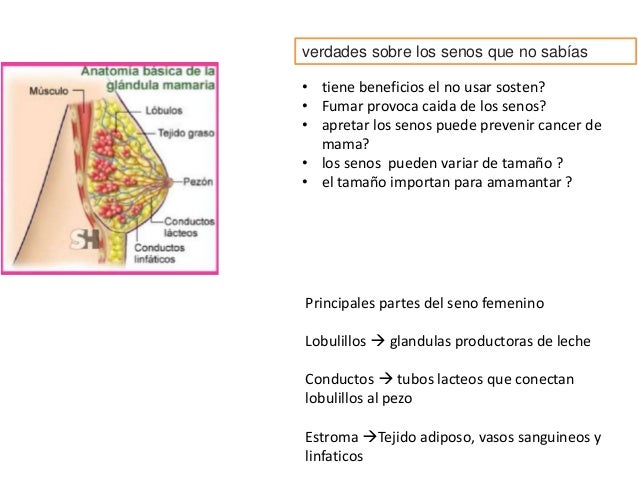 Tiene Cura El Cáncer De Esternón