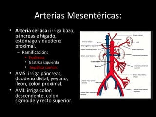 PATOLOGÍA DEL RETROPERITONEO EN ECOGRAFÍA | PPT
