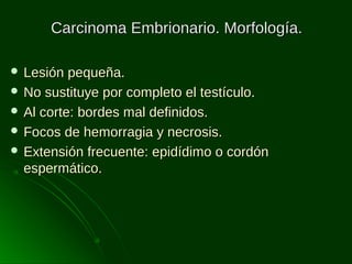 Carcinoma Embrionario. Morfología.
 Lesión

pequeña.
 No sustituye por completo el testículo.
 Al corte: bordes mal definidos.
 Focos de hemorragia y necrosis.
 Extensión frecuente: epidídimo o cordón
espermático.

 