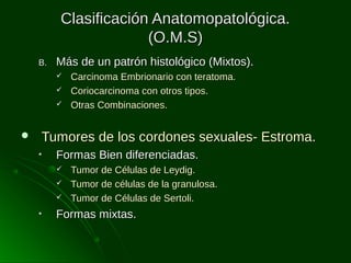 Clasificación Anatomopatológica.
(O.M.S)
B.

Más de un patrón histológico (Mixtos).






Carcinoma Embrionario con teratoma.
Coriocarcinoma con otros tipos.
Otras Combinaciones.

Tumores de los cordones sexuales- Estroma.
•

Formas Bien diferenciadas.




•

Tumor de Células de Leydig.
Tumor de células de la granulosa.
Tumor de Células de Sertoli.

Formas mixtas.

 