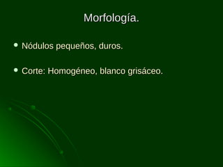 Morfología.
 Nódulos
 Corte:

pequeños, duros.

Homogéneo, blanco grisáceo.

 