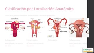 Pyomyoma Comprehensive Ultrasonographic Approach to Uterine Pathology ...