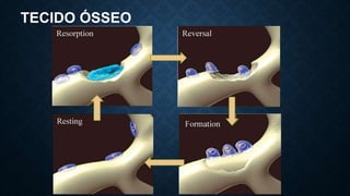 TECIDO ÓSSEO
 