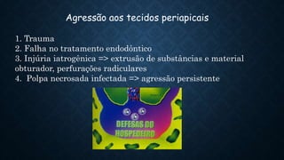 Agressão aos tecidos periapicais
1. Trauma
2. Falha no tratamento endodôntico
3. Injúria iatrogênica => extrusão de substâncias e material
obturador, perfurações radiculares
4. Polpa necrosada infectada => agressão persistente
 