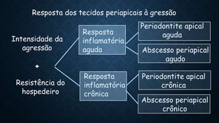 Resposta dos tecidos periapicais à gressão
Intensidade da
agressão
Resistência do
hospedeiro
Resposta
inflamatória
aguda
Resposta
inflamatória
crônica
Periodontite apical
aguda
Abscesso periapical
agudo
Periodontite apical
crônica
Abscesso periapical
crônico
+
 