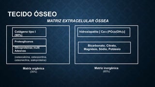 TECIDO ÓSSEO
MATRIZ EXTRACELULAR ÓSSEA
Colágeno tipo I
(90%)
Proteoglicanos
Glicoproteínas multi
Adesivas
(osteocalcina, osteopontina,
osteonectina, sialoproteina)
hidroxiapatita [ Ca10 (PO4)6(OH2)2]
Bicarbonato, Citrato,
Magnésio, Sódio, Potássio
Matriz orgânica
(35%)
Matriz inorgânica
(65%)
 