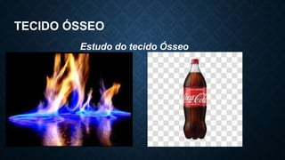TECIDO ÓSSEO
Estudo do tecido Ósseo
 
