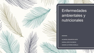 Enfermedades
ambientales y
nutricionales
ALONDRA ZAMARRON MATA
KARINA LOPEZ ESCOBEDO
SANDRA GUTIERREZ BONILLA
 