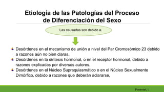 Etiología de las Patologías del Proceso
de Diferenciación del Sexo
Desórdenes en el mecanismo de unión a nivel del Par Cro...