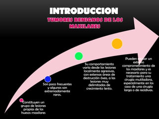 Pueden causar un
                                                                        extenso
                                      Su comportamiento        comprometimiento de
                                    varía desde las lesiones      los maxilares y es
                                     localmente agresivas,        necesario para su
                                     con extensas áreas de         tratamiento una
                                    destrucción ósea, a las      cirugía mutiladora,
                                          lesiones muy          especialmente en los
              Son poco frecuentes        delimitadas de
                 y algunos son                                   caso de una cirugía
                                       crecimiento lento.       larga o de recidivas.
               extremadamente
                     raros.

 Constituyen un
grupo de lesiones
  propias de los
huesos maxilares
 
