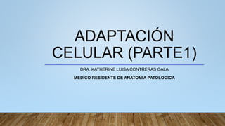 ADAPTACIÓN
CELULAR (PARTE1)
DRA. KATHERINE LUISA CONTRERAS GALA
MEDICO RESIDENTE DE ANATOMIA PATOLOGICA
 