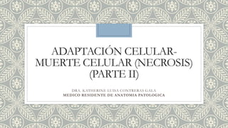 ADAPTACIÓN CELULAR-
MUERTE CELULAR (NECROSIS)
(PARTE II)
DRA. KATHERINE LUISA CONTRERAS GALA
MEDICO RESIDENTE DE ANATOMIA PATOLOGICA
 
