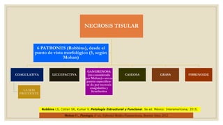 NECROSIS TISULAR
COAGULATIVA
LA MÁS
FRECUENTE
LICUEFACTIVA
GANGRENOSA
(no considerada
por Mohan)—no es
patrón especifico-
se da por necrosis
coagulativa y
licuefactiva
CASEOSA GRASA FIBRINOIDE
6 PATRONES (Robbins), desde el
punto de vista morfológico (5, según
Mohan)
Robbins LS, Cotran SR, Kumar V. Patología Estructural y Funcional. 9a ed. México: Interamericana; 2015.
Mohan H., Patología, 6ª ed., Editorial Médica Panamericana, Buenos Aires, 2012
 