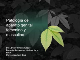 Patologìa del
aparato genital
femenino y
masculino
Dra . Deisy Pineda Arroyo
Docente de ciencias básicas de la
salud
Universidad del Sinù
 