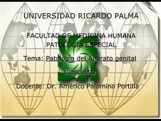 CURSO DE FISIOPATOLOGÍA UNIVERSIDAD RICARDO PALMA FACULTAD DE MEDICINA HUMANA PATOLOGÍA ESPECIAL Tema:  Patología del Aparato genital masculino Docente: Dr. Américo Palomino Portilla 