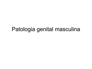 Patologia genital masculina

 