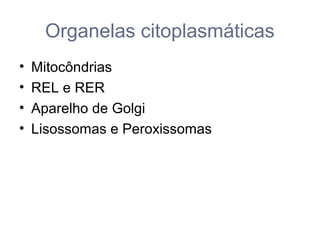 Organelas citoplasmáticas
• Mitocôndrias
• REL e RER
• Aparelho de Golgi
• Lisossomas e Peroxissomas
 